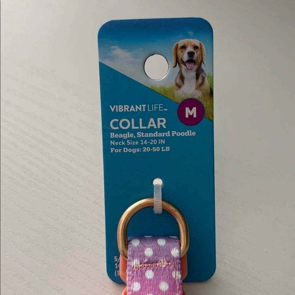 NWT Multicolor Dog Collar with Bow | Medium